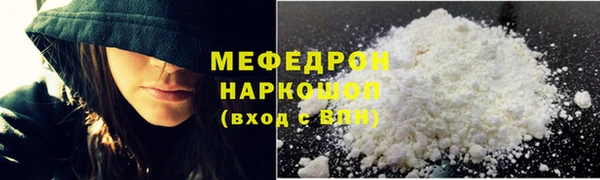 стаф Каменногорск