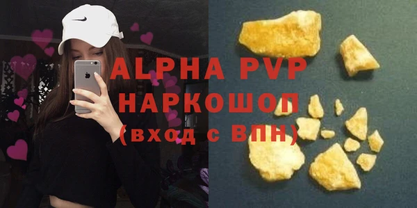 стаф Каменногорск