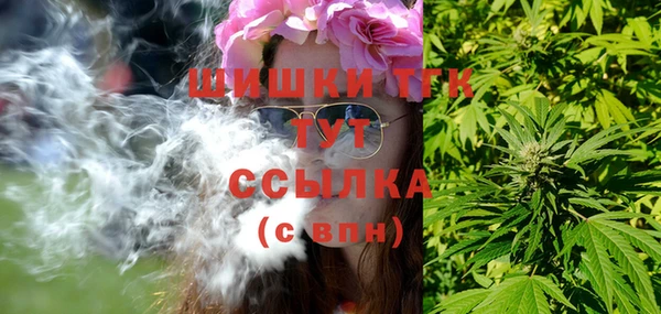 стаф Каменногорск
