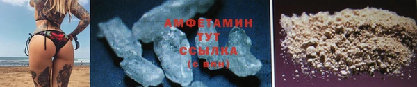стаф Каменногорск