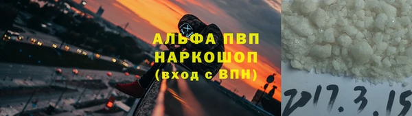 стаф Каменногорск