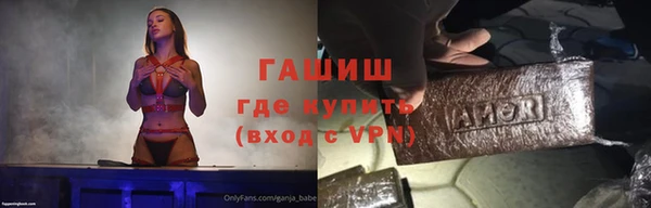 стаф Каменногорск