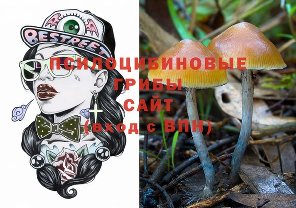 бутират Каменка