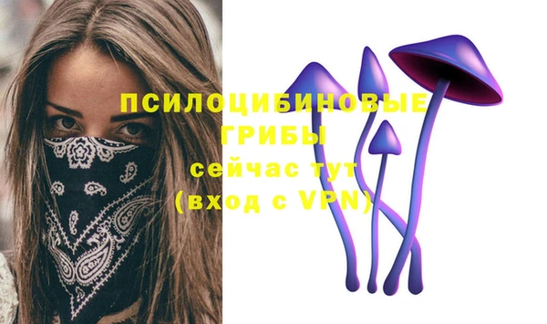 бутират Каменка