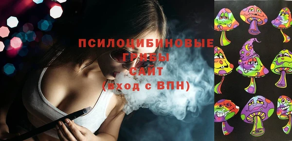 стаф Каменногорск