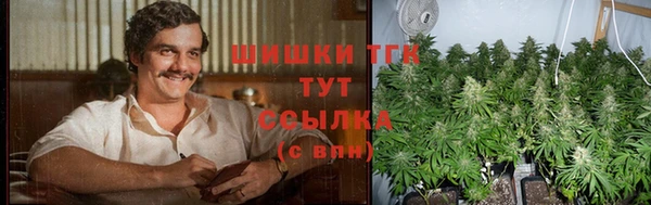 стаф Каменногорск