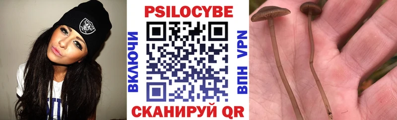 Псилоцибиновые грибы Psilocybine cubensis  Купить закладки  Тогучин 