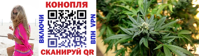 Купить  Тогучин  Бошки марихуана план 